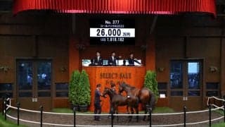 【セレクトセール2023】エピファネイア産駒が2億6000万円で落札