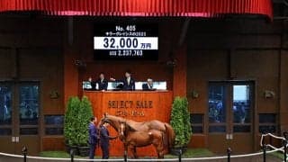 キタサンブラック×米G1馬の仔が3億2000万円で落札 GI馬キラーアビリティの半弟