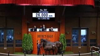 藤田晋氏がサリオスの姪を2億6000万円で落札 父はエピファネイア