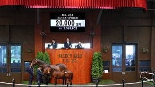 母は米G1を2勝 ギベオンの半弟コンテスティッドの2023は2億円