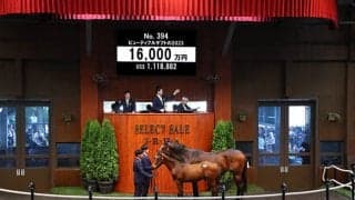 米G3馬の仔 ビューティフルギフトの2023は1億6000万円