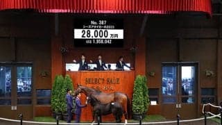 ダノンザタイガー半妹は2億8000万円 サイバー藤田晋氏がこの日20頭目の億超え落札