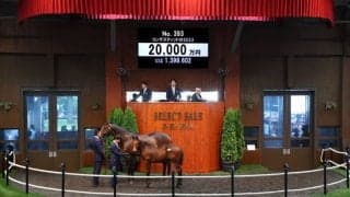 【セレクトセール2023】ロードカナロア産駒が2億円で落札