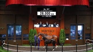 【セレクトセール2023】藤田晋氏がコントレイル産駒を2.8億円で落札