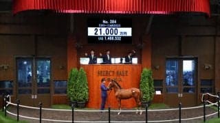 【セレクトセール2023】ハービンジャー産駒が2.1億円で落札