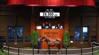 【セレクトセール2023】ジャスティンカフェ全弟、当歳が2.6億円落札