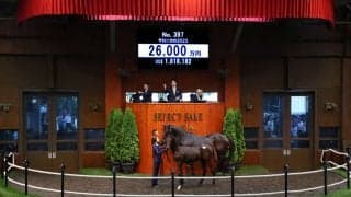 【セレクトセール2023】藤田晋氏がエピファネイア産駒を2.6億で落札