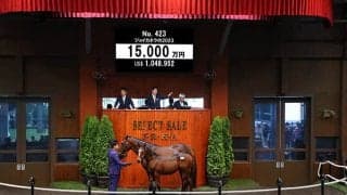 当歳30頭目の億超え！ 亜G1馬の仔ジョイカネラの2023は1億5000万円