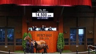 【セレクトセール2023】エントロピアの2023は1億4500万円 「ダノン」の冠名で知られるダノックスが落札