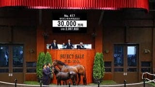 シュネルマイスター半弟が3億円で落札 サリオスらと同一族でリザーブ価格1億円