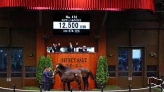 ダンスインザムードの孫 カイザーバルの2023は1億2500万円