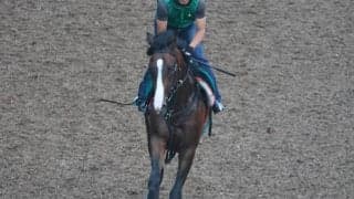 ベルダムの2021(ミッキースターダム)など、先週の入厩情報/栗東トレセンニュース