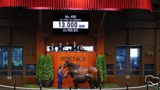 サイバー藤田晋氏が1.3億でエピファネイア産駒を落札 半兄は3億円馬オープンファイア