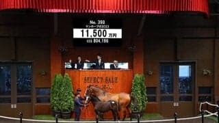 コントレイル産駒を1.15億で落札した「アスク」廣崎利洋氏「ぜひ迎えたいメンバーでした」