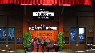 【セレクトセール2023】ファンスターの2023は1億6000万円 「ダノン」の冠名で知られるダノックスが落札