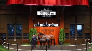 【セレクトセール2023】シュネルマイスター半弟、3億円で落札