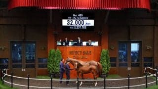 【セレクトセール2023】キラーアビリティ半弟、当歳キタサンブラックが3.2億で落札