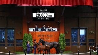 キタサン産駒のウォークロニクルの2023は2億9000万円 近親にクロノジェネシスやノームコア