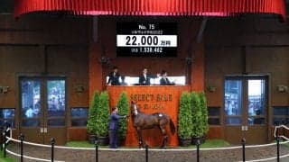 【セレクトセール2023】ブリックスアンドモルタル産駒が2億円超え…藤田晋氏が落札