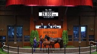 【セレクトセール2023】近親にクロノジェネシス…キタサンブラック産駒が2億9000万円