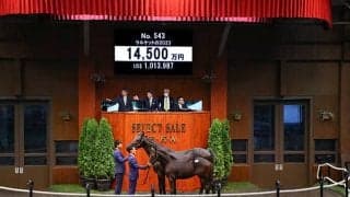 ステルヴィオの弟は1億4500万円 セレクトのラストを億超えで飾る