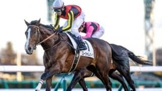 【函館記念予想オッズ】ローシャムパークが予想1番人気