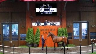 【セレクトセール2023】“札束の殴り合い”総落札額はレコード更新の281億超　「福永祐一厩舎」確定のコントレイル産駒・当歳に5億2000万円