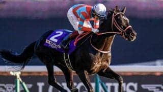 初登場のコントレイル産駒は総額25億7200万円で落札！ 8頭が億超えホースに