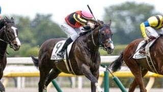 【函館2歳S予想オッズ】バスターコールが予想1番人気