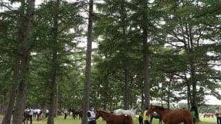 【セレクトセール2023】2日間の総売上281億円超で史上最高額更新！当歳セッションも147億円超の新記録