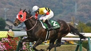 【函館記念展望】波乱前提のハンデ戦、過去10回で4角3番手以内の馬が8勝