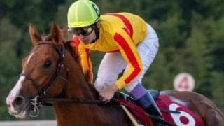 武豊騎手＆ミトノオー JDD連覇＆5勝目なるか