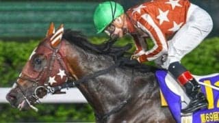 記録ずくめの戴冠となるか 無敗の二冠馬がジャパンダートダービー参戦