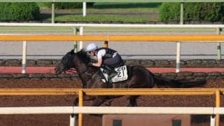 ミスニューヨーク、クイーンS2週前追い切り速報/栗東トレセンニュース