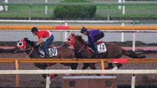 ホウオウアマゾン、中京記念1週前追い切り速報/栗東トレセンニュース