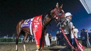 改革控える3歳ダート戦線 “最後のJDD”前に来年からの変更点をおさらい