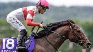 【中京記念想定】ダノンスコーピオン、ホウオウアマゾンなど18頭