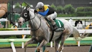 白毛の“二刀流ランナー” 函館記念16年ぶりの連覇なるか