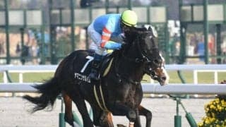 【函館記念予想】AIの狙いは絶妙な伏兵馬！ 推奨理由となるレース傾向を徹底分析