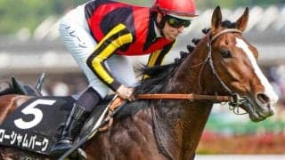 ルメール騎手が函館記念初Vへ ハービンジャー産駒の良血と4戦ぶりタッグ