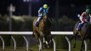 ウェルドーンが競走馬登録抹消