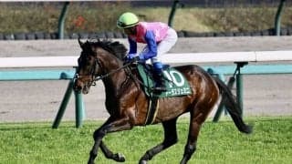 トーラスジェミニが競走馬登録抹消