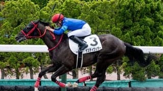 前走のラスト1Fは驚異の10秒9！ ナスティウェザーの強さは大物か？