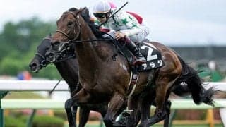 巴賞からの連勝なら18年ぶり アラタが函館記念でJRA重賞初V目指す