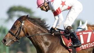 ナカヤマフェスタが種牡馬引退 今後は功労馬として過ごす