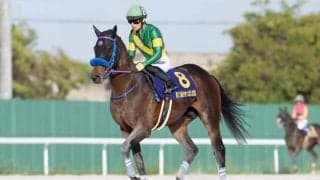 【マーキュリーC】JRA出走予定馬