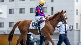 函館2歳Sは前走1000m組が好成績 今年はスカイキャンバスに要注意