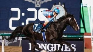 2023年上半期JPNサラブレッドランキング発表 イクイノックスが全体トップ