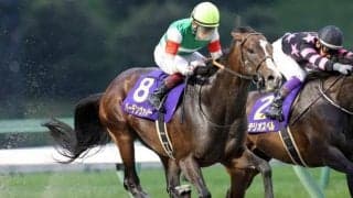 【マーキュリーC枠順】連覇がかかるバーデンヴァイラーは5枠7番、キタサンブラック産駒のウィルソンテソーロは6枠9番