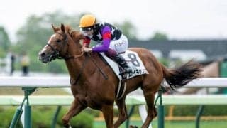 【函館2歳S予想】世代の初重賞は波乱含み!? 好走の鍵を握るのは前走での経験